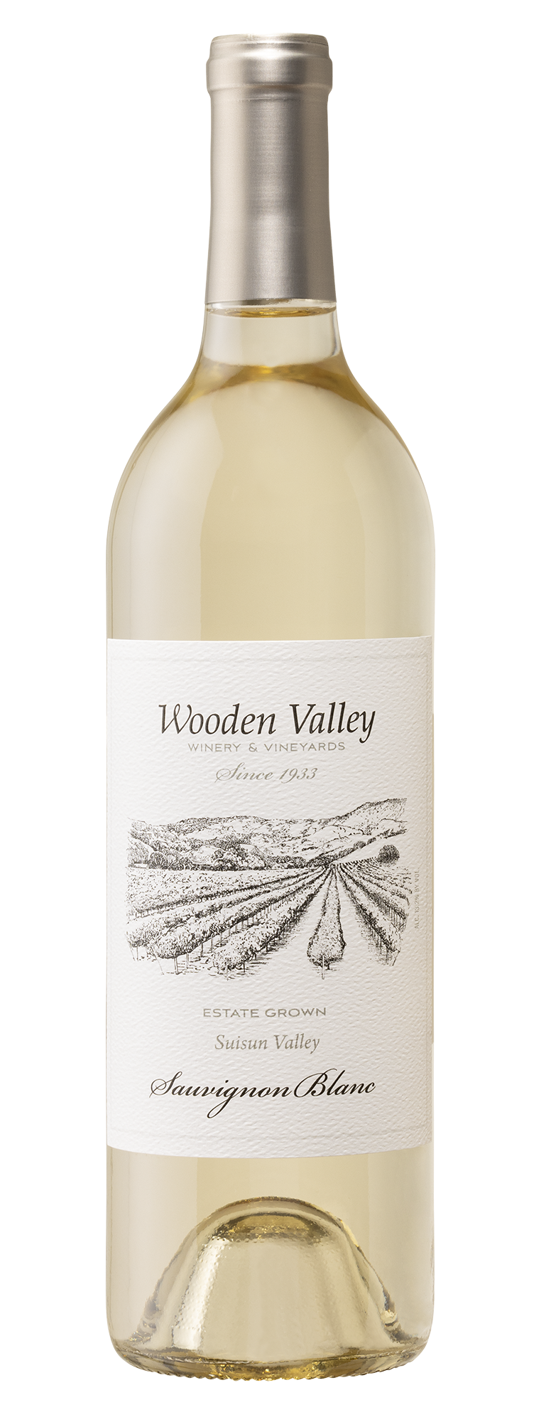 2023-Sauvignon-Blanc